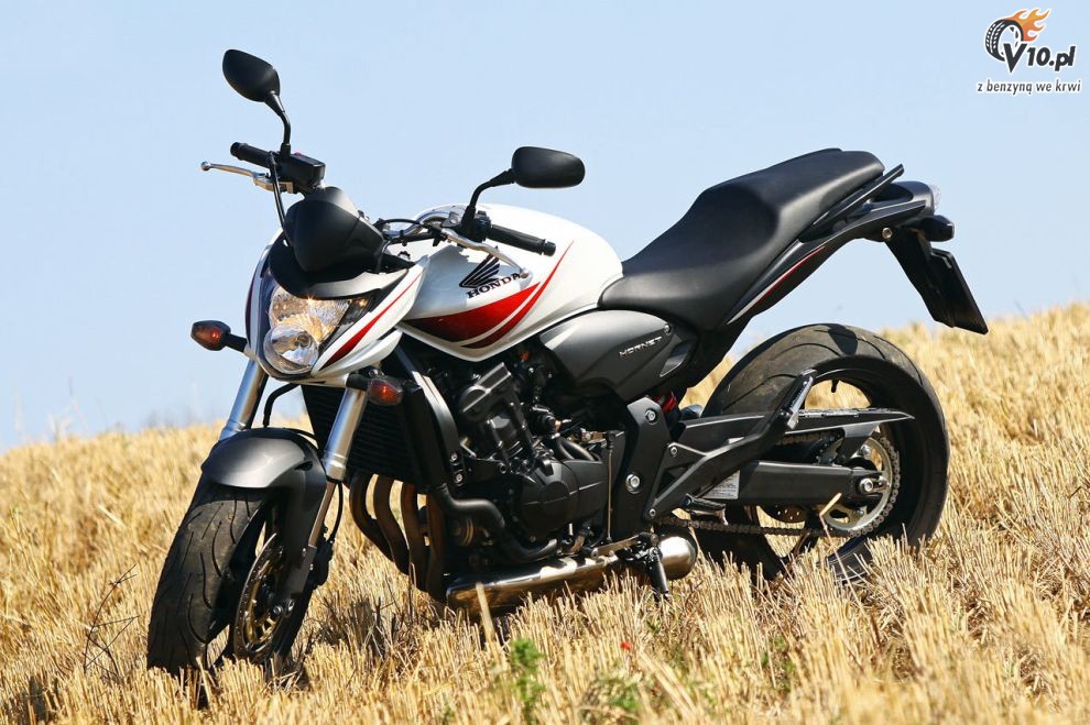 2010 Honda Hornet 600